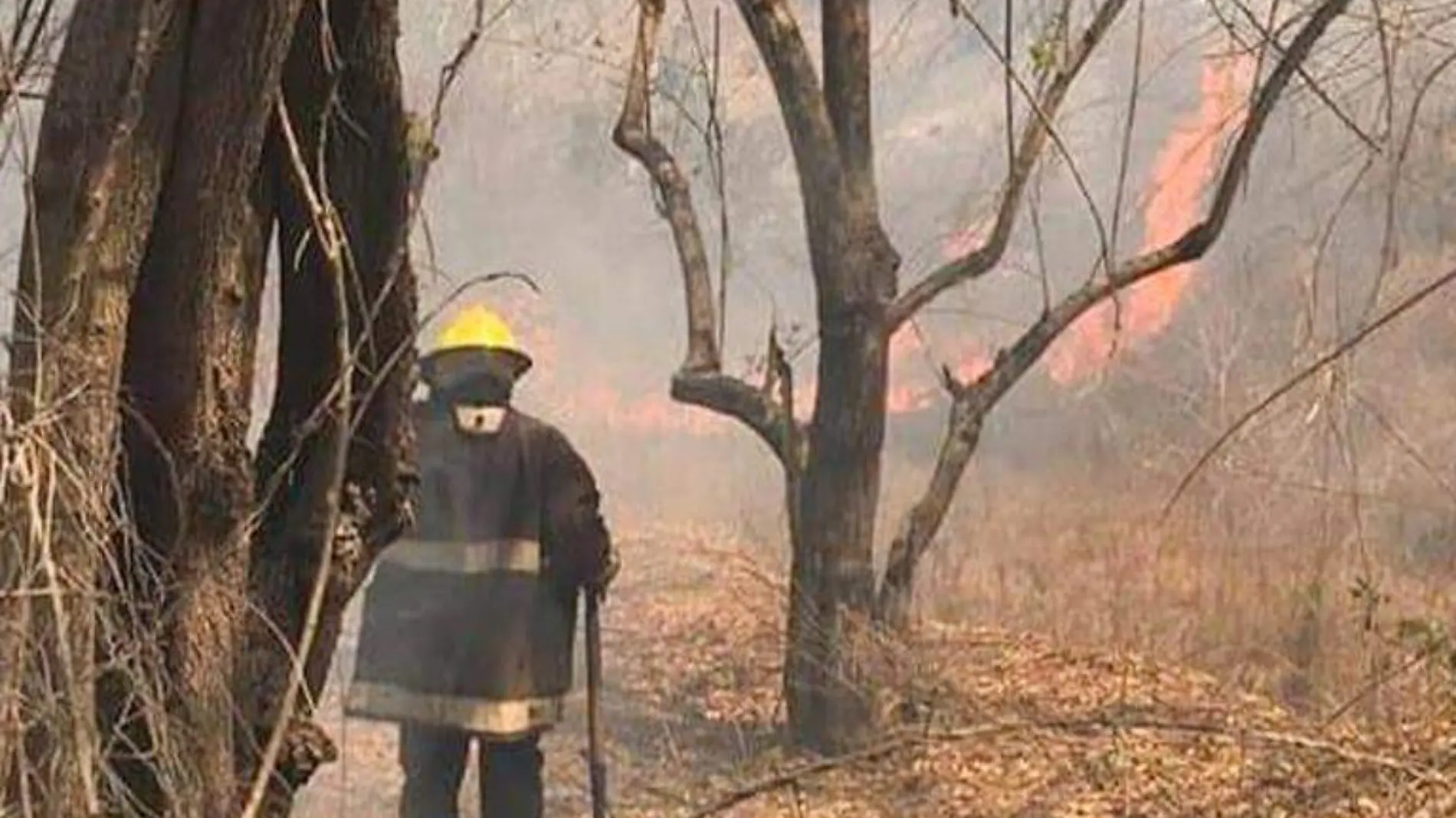 incendios guerrero